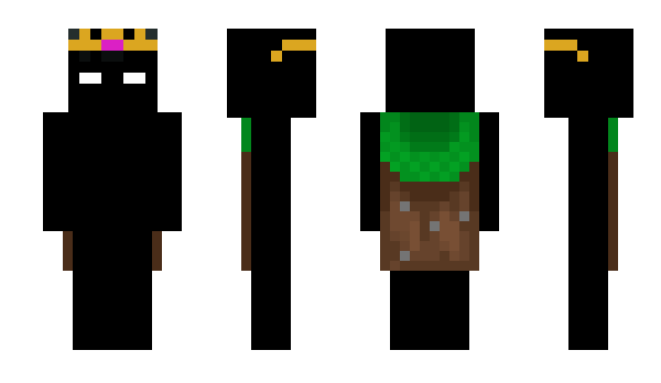 Minecraft скин по нику skybh