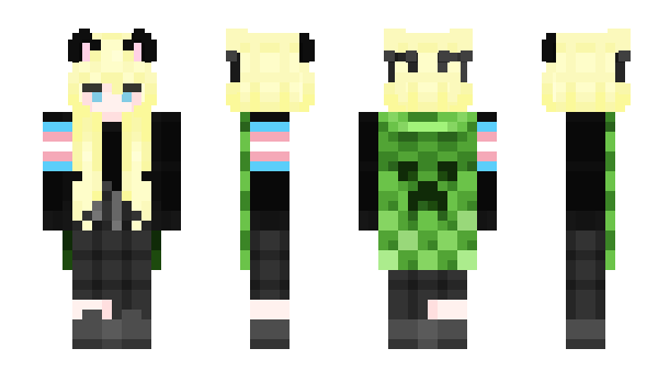 Minecraft skin TransLover