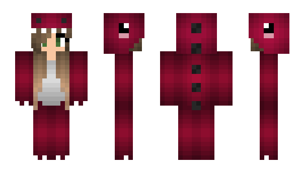 Minecraft skin VildePus