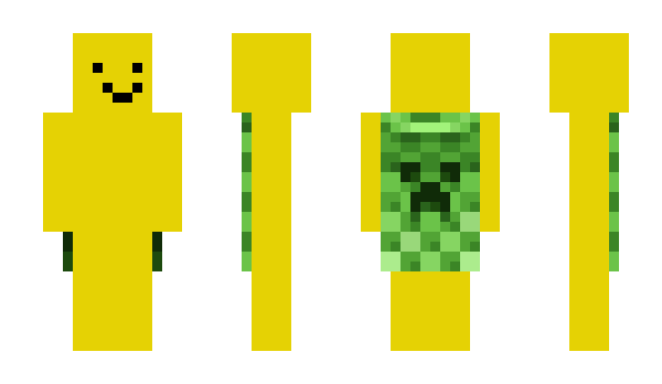 Minecraft skin aceppt