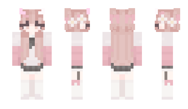 Minecraft skin Ing5