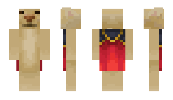 Minecraft skin ElGatoe