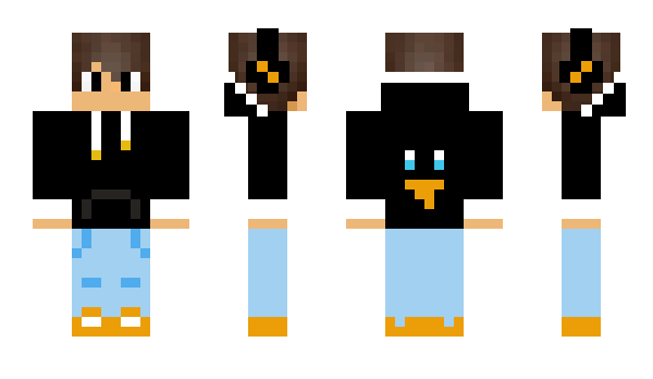 Minecraft skin Penguin191