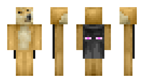 Minecraft skin PersianPuppy