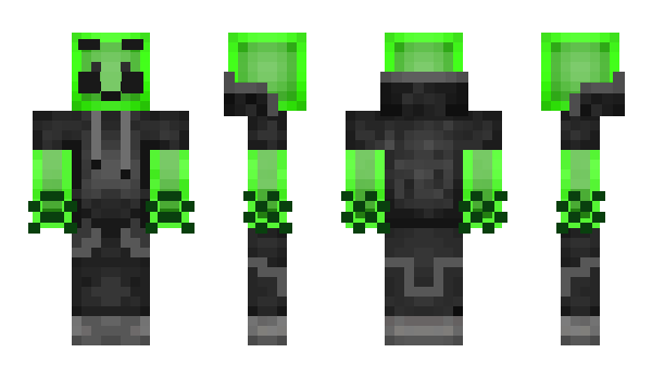 Minecraft skin Lerdic