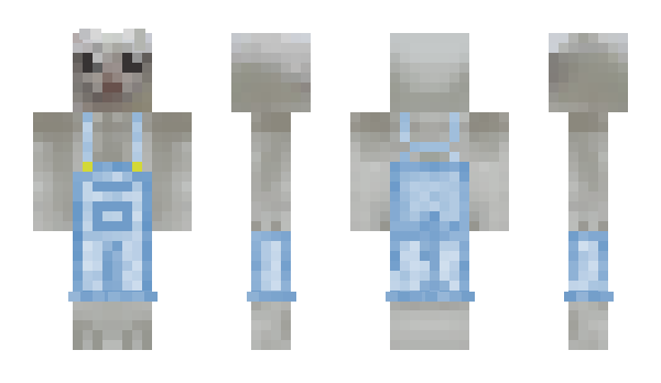 Minecraft skin Navi9