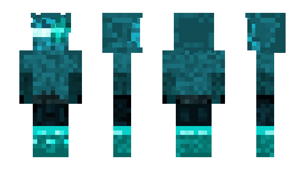 Minecraft skin DesignerTJ