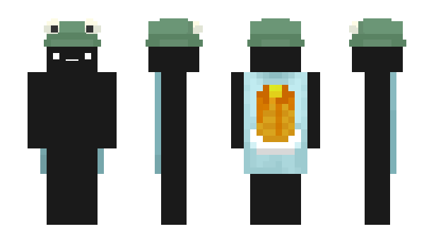 Minecraft skin _flipside_