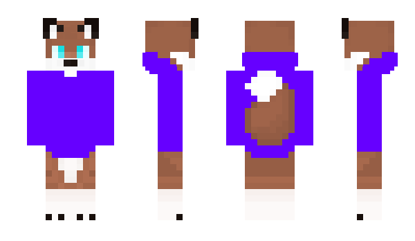 Minecraft skin vberks