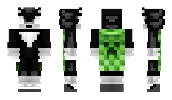 Minecraft skin ArtyMP4