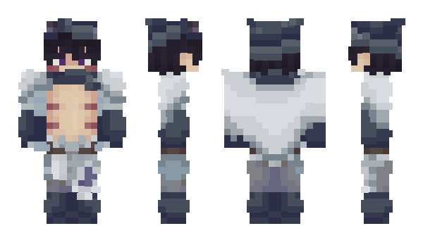 Minecraft skin dividedd