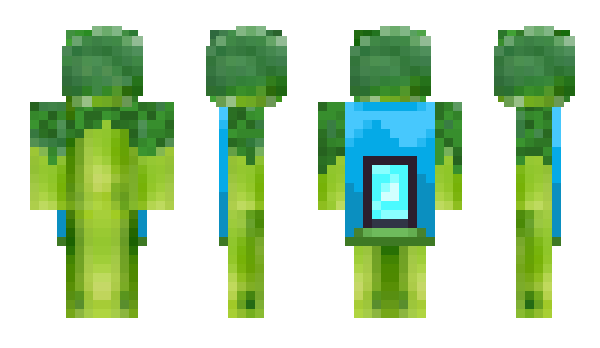 Minecraft skin stashCM