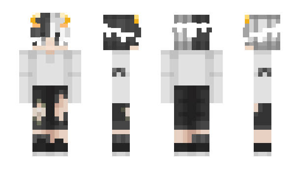 Minecraft skin Polshi