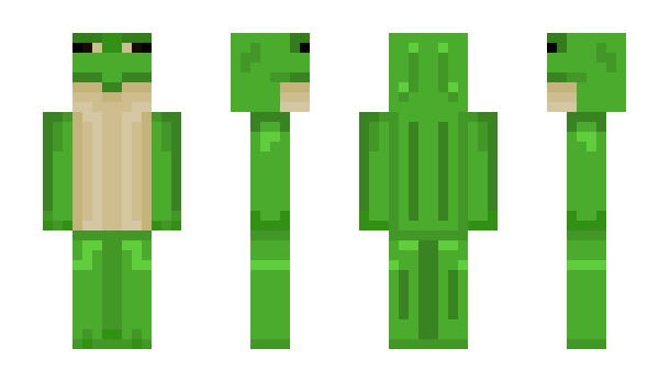 Minecraft скин по нику richblackcat