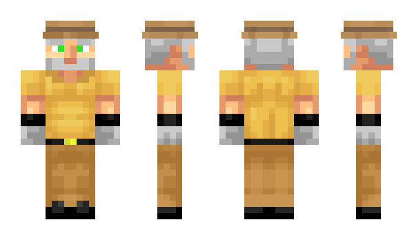 Minecraft skin Blazestar