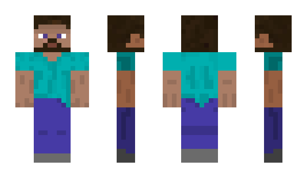 Minecraft skin pluca