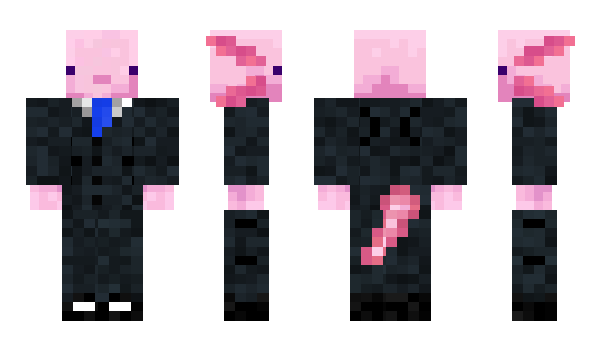 Minecraft skin skyben
