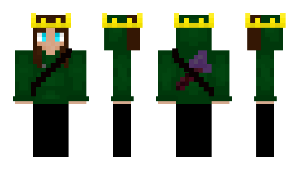 Minecraft skin Acenin