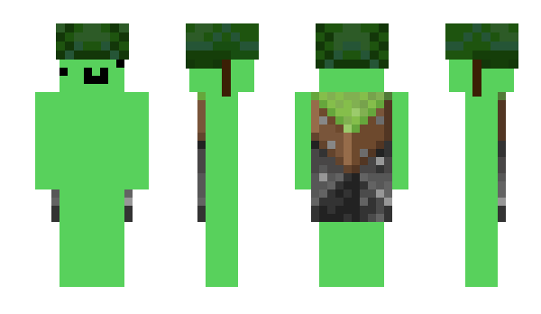 Minecraft skin Allmigt