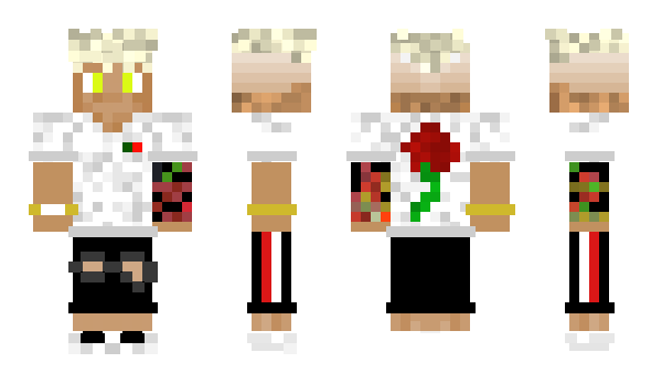 Minecraft skin SerteX_