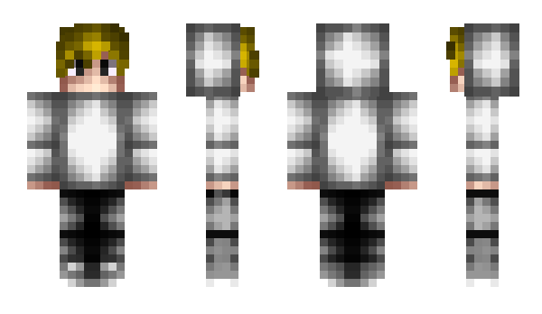 Minecraft skin BaranBey