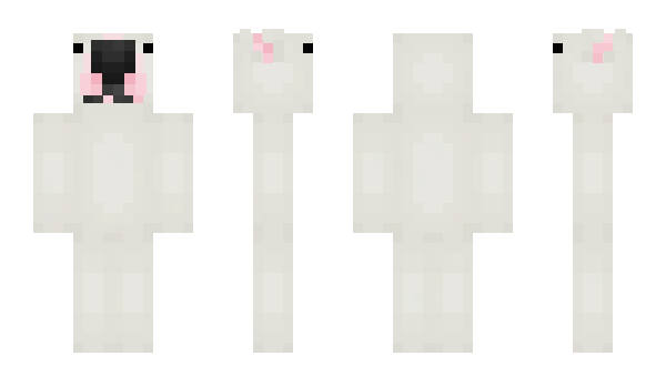 Minecraft skin MR28