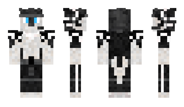 Minecraft skin DiscordNight