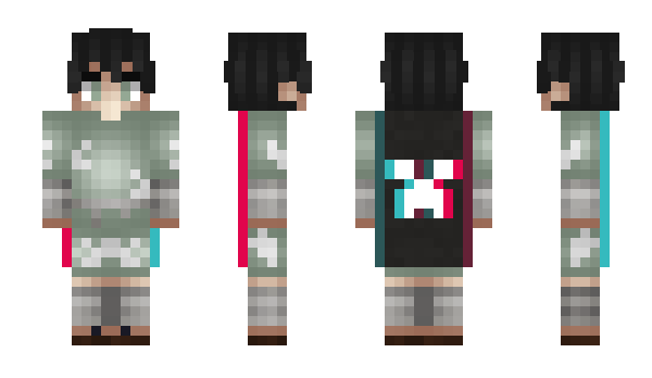 Minecraft skin 4vier