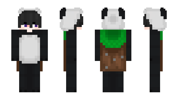 Minecraft skin v1ctcr
