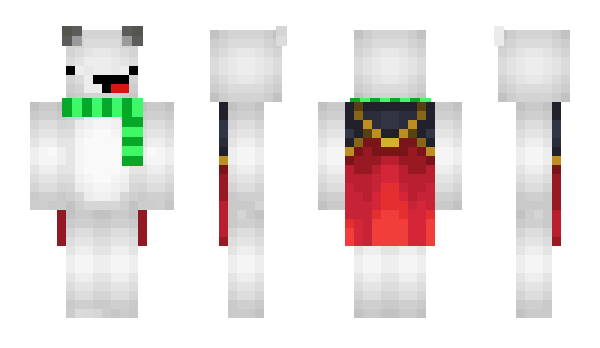 Minecraft skin Polaryo