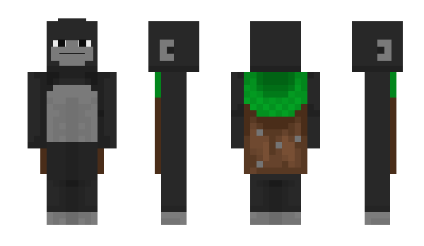 Minecraft скин по нику Skeptaq