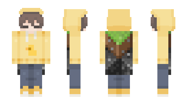 Minecraft skin rfabri