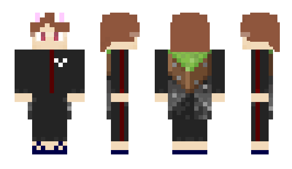 Minecraft skin Lenz_