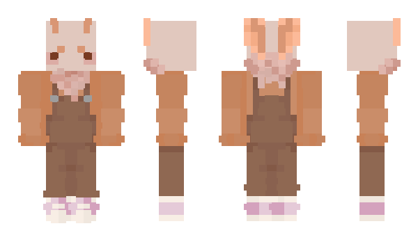 Minecraft skin d3wim