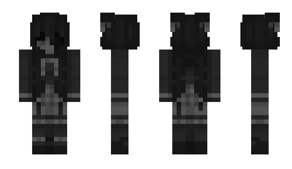 Minecraft skin NS3ROBIN