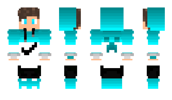 Minecraft skin w1nqy