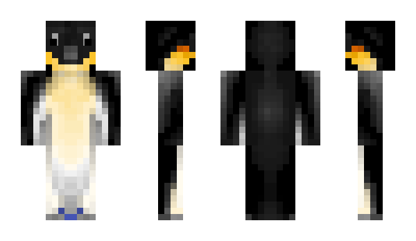 Minecraft skin Fluxxo