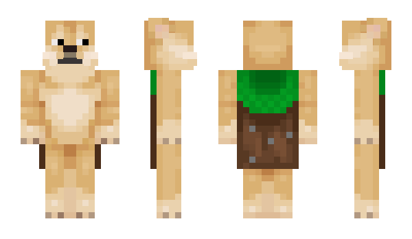 Minecraft скин по нику DOGBRO6663