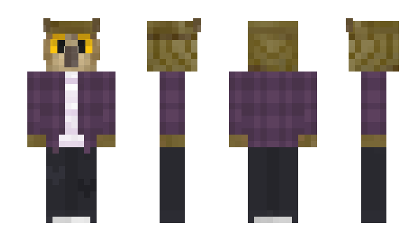 Minecraft skin byErwin