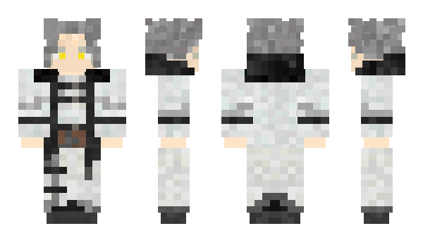 Minecraft skin vali