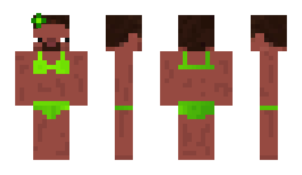 Minecraft skin ayseany