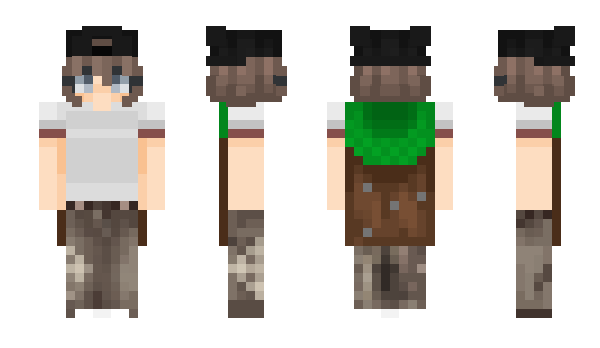 Minecraft скін по ніку nooortje
