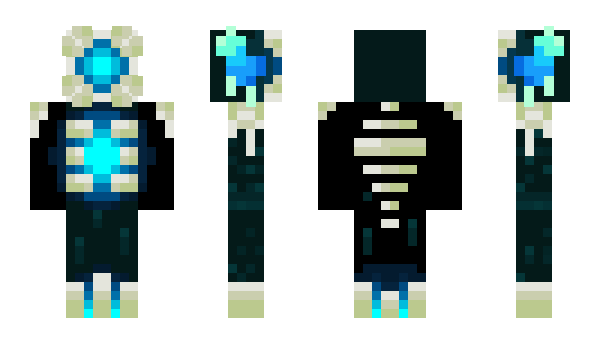 Minecraft skin bkor