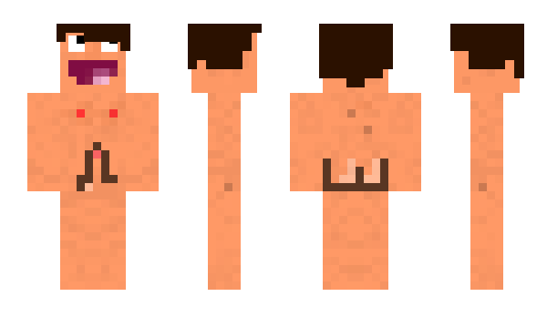 Minecraft skin Vejrek
