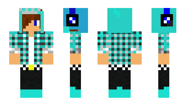 Minecraft skin P8J