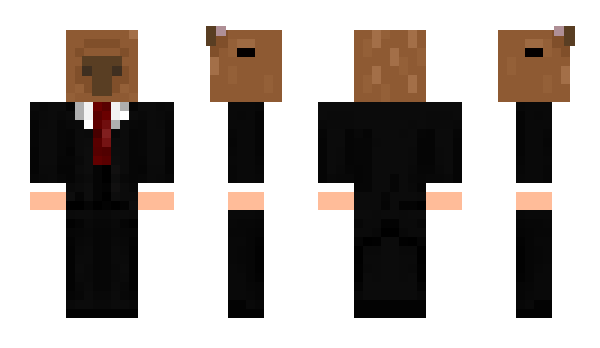 Minecraft skin viniccius20