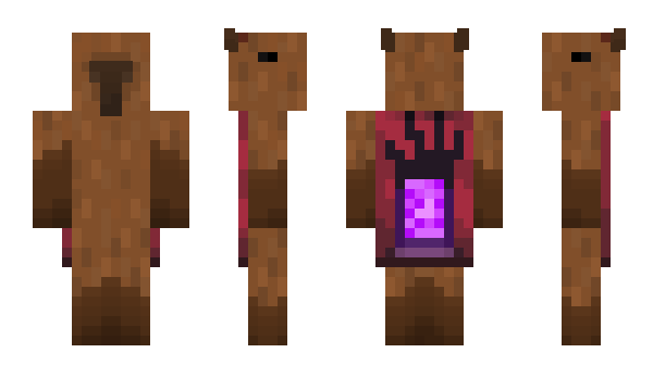 Minecraft skin BACKSSTERR