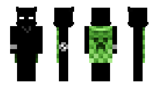 Minecraft skin 01953