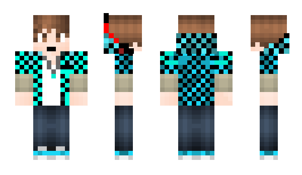 Minecraft skin Hail_Mary