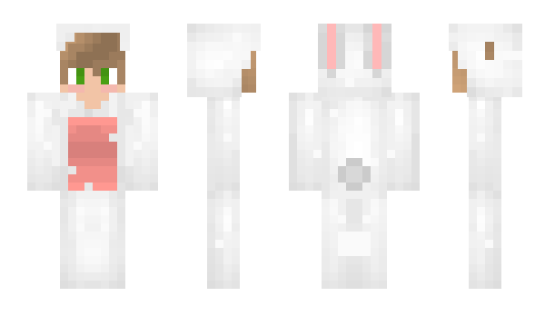 Minecraft skin Norma1man